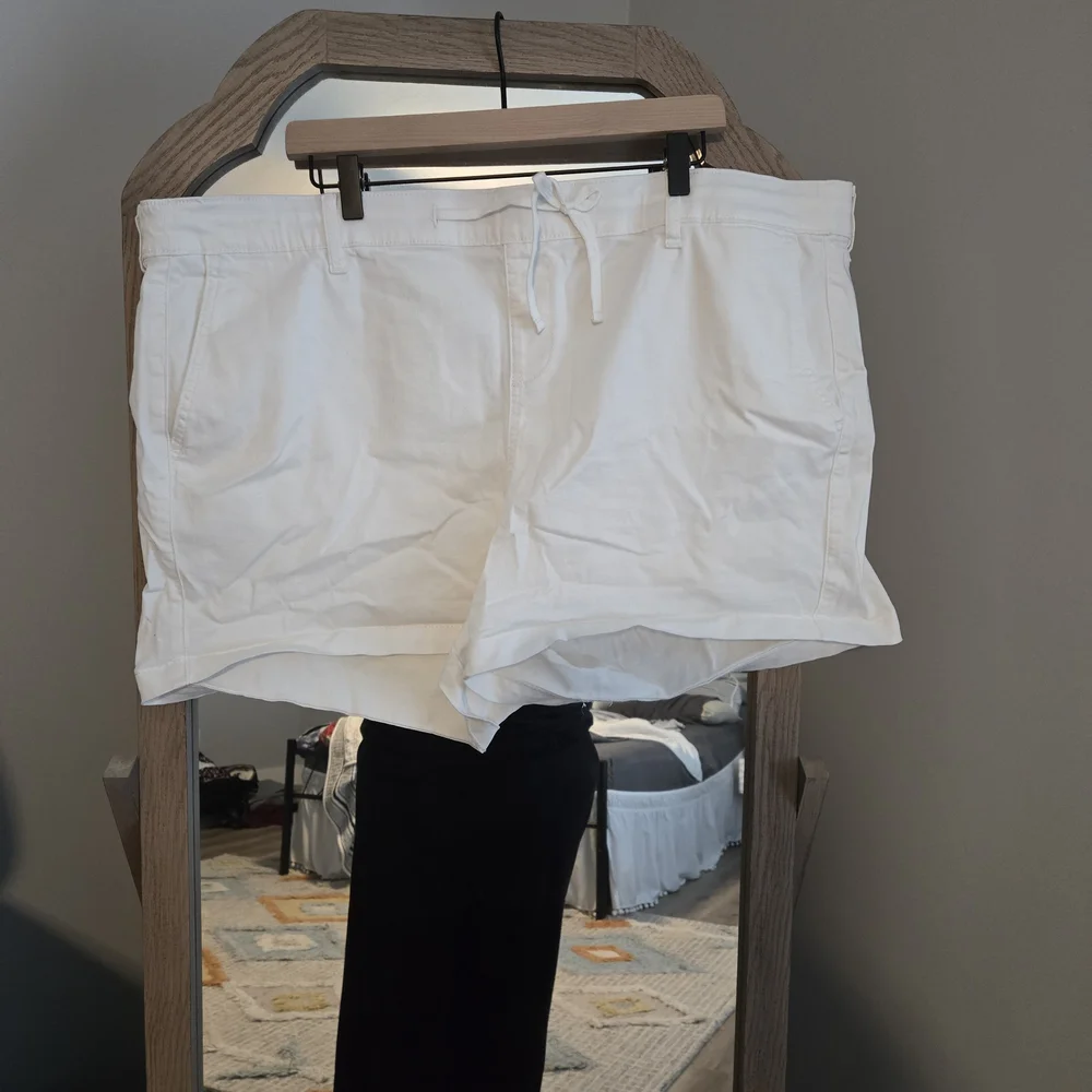 46. Torrid Shorts - Picture 5 of 6